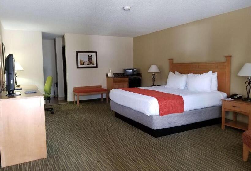스탠다드 룸 킹사이즈 침대, Best Western Paint Pony Lodge