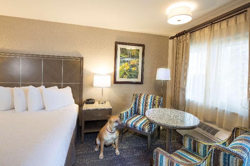 장애인을 위한 스탠다드 룸, Best Western Plus Hilltop Inn