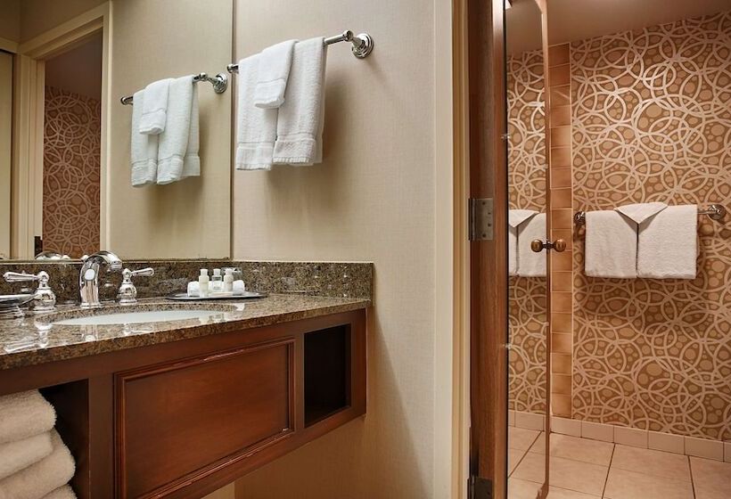 适合残疾人士使用的套间, Best Western Plus The Normandy Inn & Suites