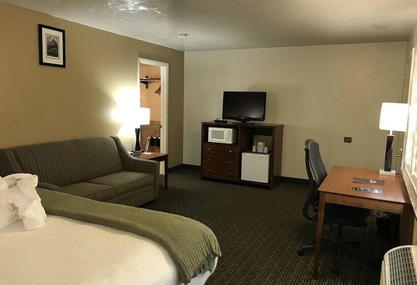 스탠다드 룸 킹사이즈 침대, Dinosaur Inn & Suites