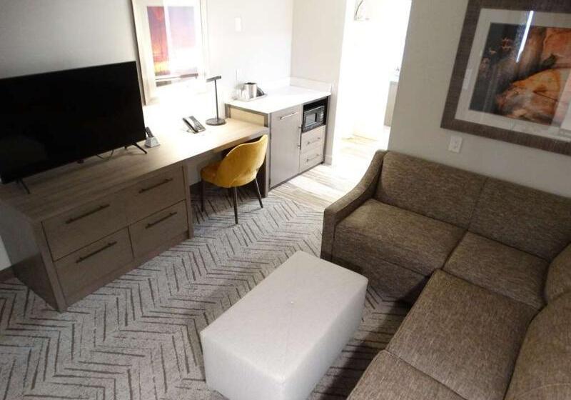 장애인을 위한 스탠다드 룸, Hampton Inn & Suites Craig