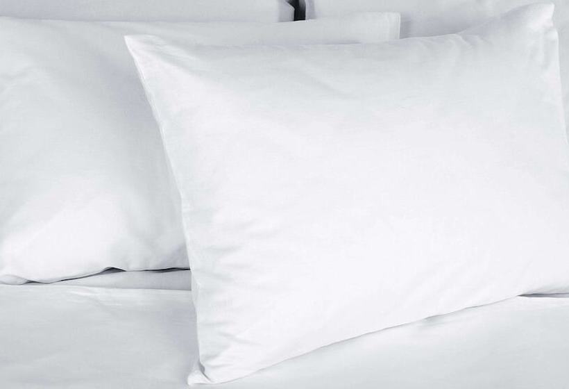 Номер Стандарт, Magnuson Hotel Fowlerville