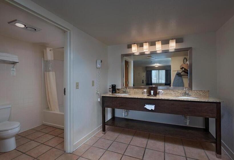 חדר סטנדרט עם מיטת קינג, Stevens Inn A Howard Johnson By Wyndham