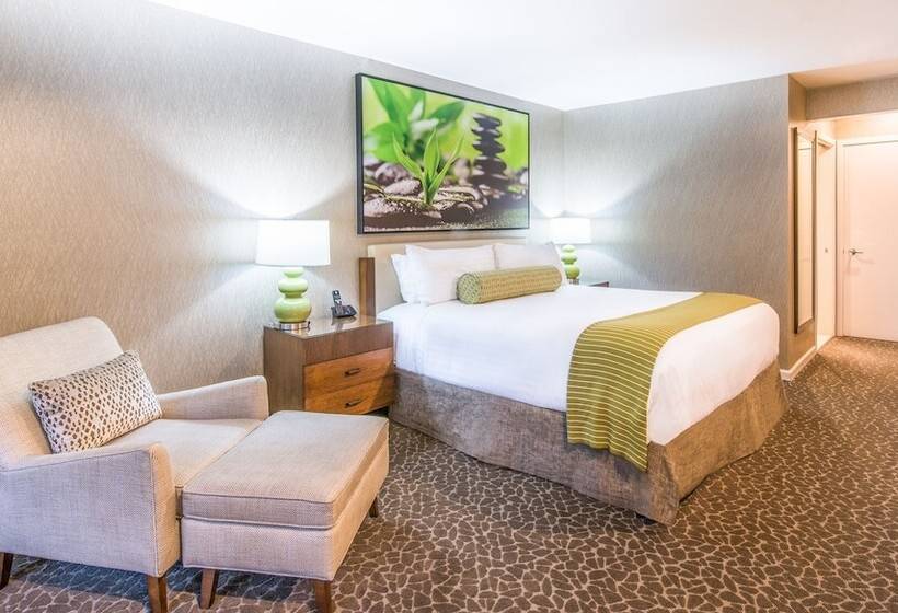 Номер Superior, The Creekside Inn