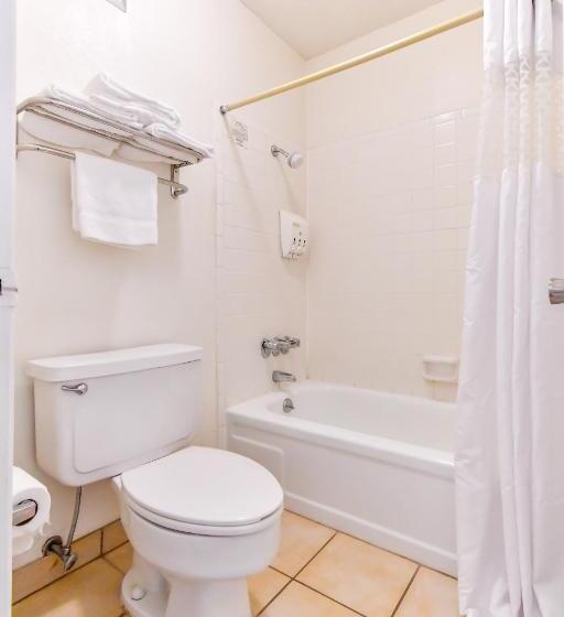 ２ダブルベッドのスタンダードルーム, OYO Hotel Tyler Lindale