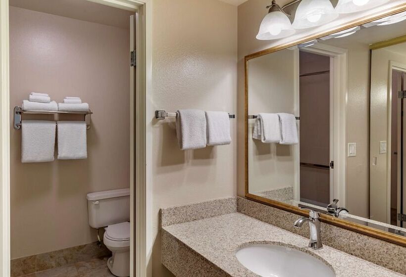 标准间带双人床, Best Western Plus Royal Oak