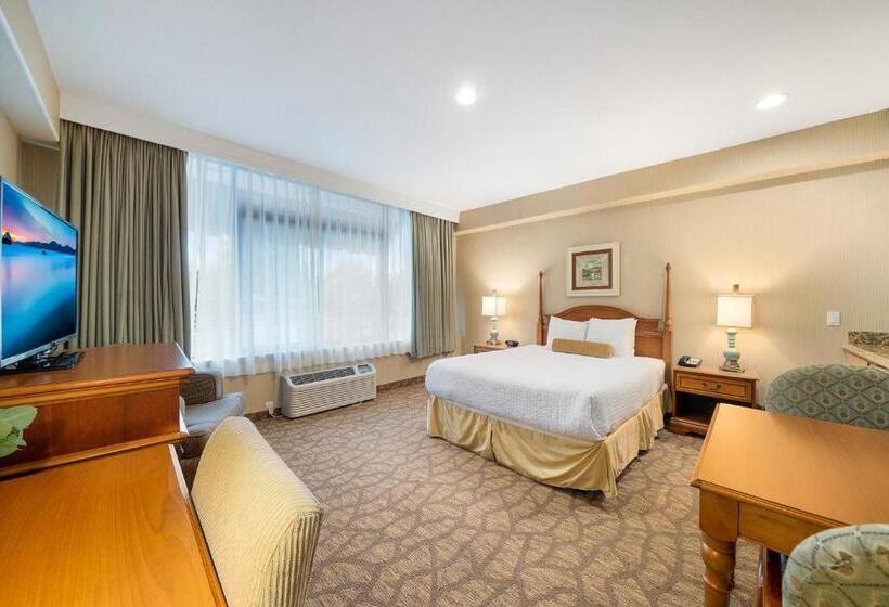 Номер Стандарт Кровать Кинг Адаптированный для Инвалидов, Casablanca Inn
