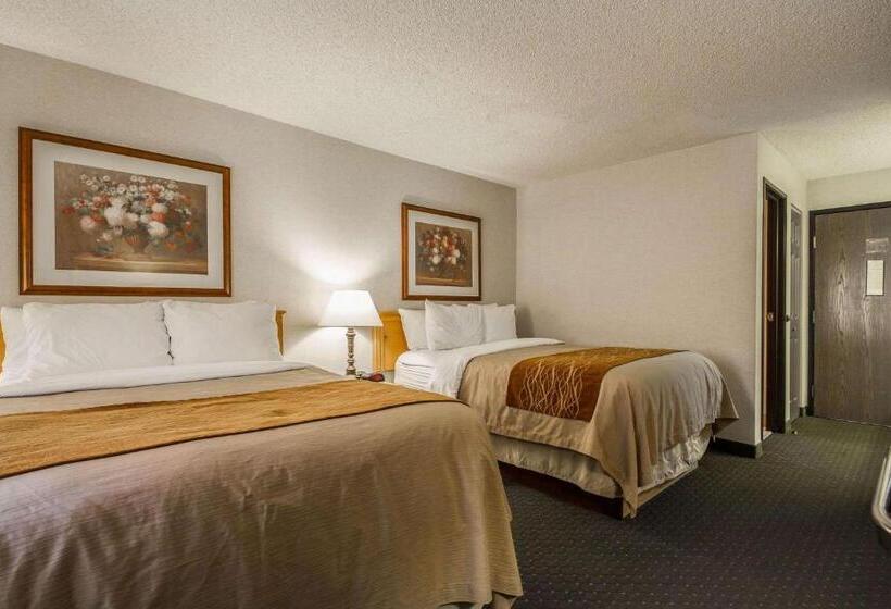 Номер Стандарт 2 Двуспальные Кровати, Comfort Inn