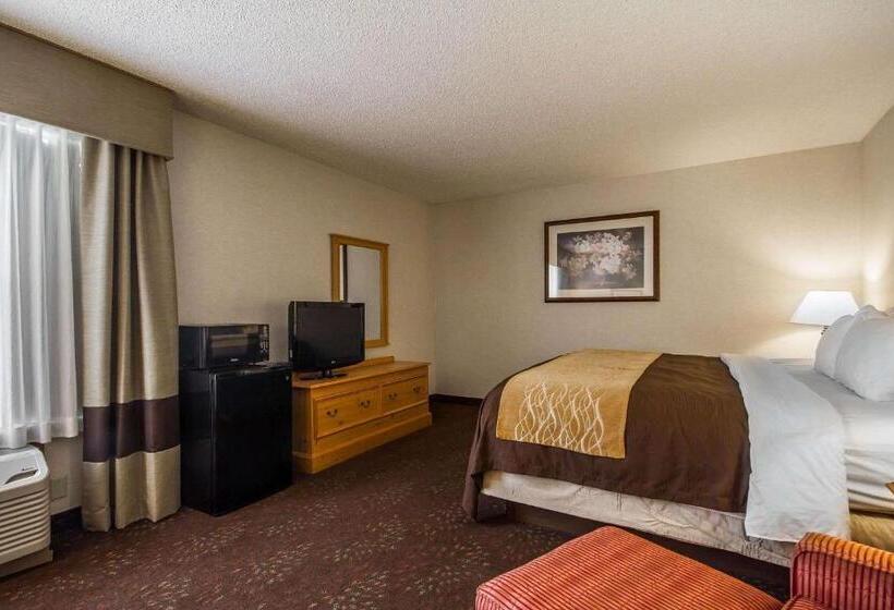 Стандартный Номер Кровать Кинг, Comfort Inn