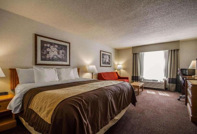 Люкс Кровать Кинг, Comfort Inn