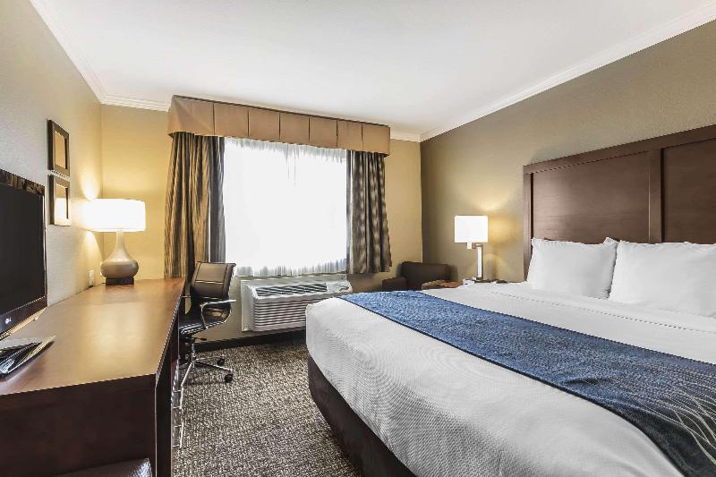 스탠다드 룸 킹사이즈 침대, Comfort Inn Sunnyvale  Silicon Valley