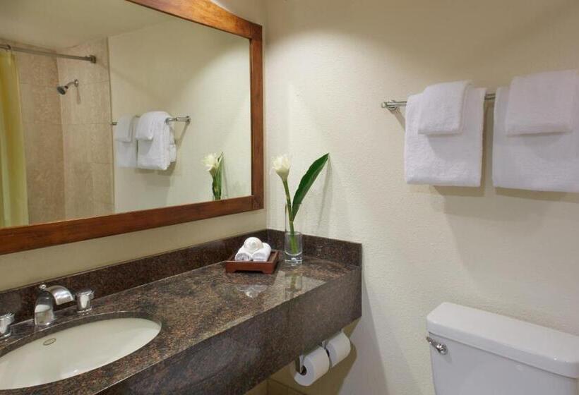 Студио Стандарт с Видом, Luana Waikiki Hotel & Suites