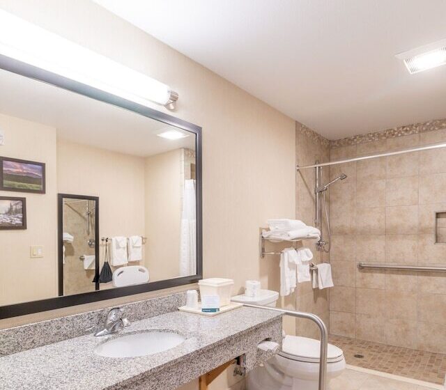 Номер Стандарт Адаптированный для Инвалидов, Quality Inn Near Rocky Mountain National Park