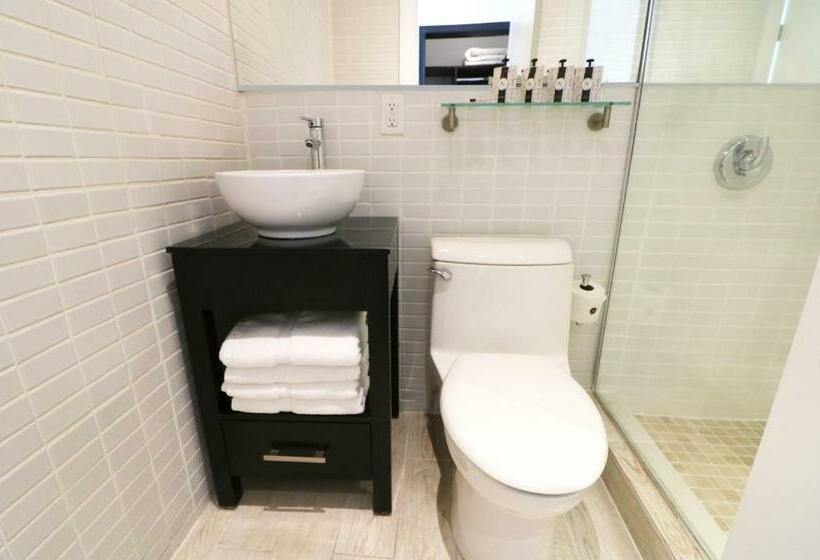 Стандартный Номер Кровать Кинг, Catalina Hotel & Beach Club