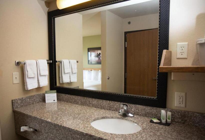 Номер Стандарт Кровать Кинг Адаптированный для Инвалидов, Americinn By Wyndham Pampa  Event Center