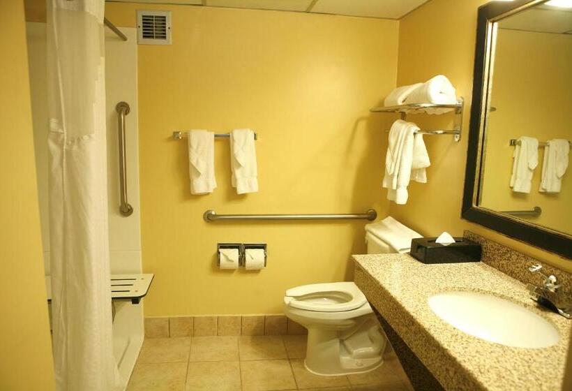 Номер Стандарт, Best Western Plus Goldsboro