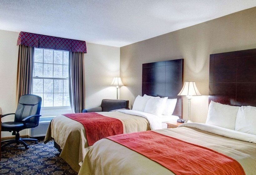 Номер Стандарт 2 Двуспальные Кровати, Comfort Inn Foxboro – Mansfield