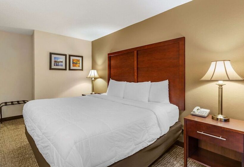 Номер Стандарт Кровать Кинг Адаптированный для Инвалидов, Comfort Inn Foxboro – Mansfield