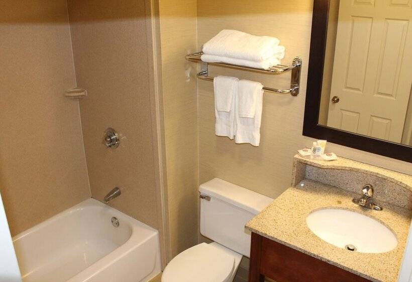 Номер Стандарт 2 Двуспальные Кровати, Comfort Inn Rockland  Boston