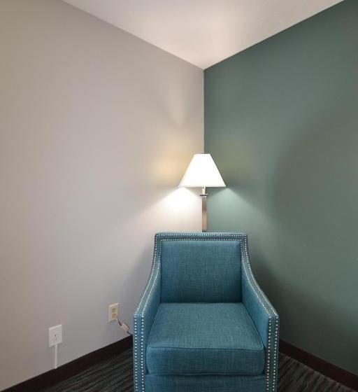 Номер Стандарт Адаптированный для Инвалидов, Countryside Inn & Suites Omaha East Council Bluffs Ia