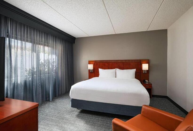 带大床的套房, Courtyard By Marriott San Antonio Medical Center