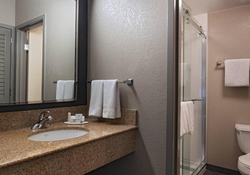 套房, Courtyard By Marriott San Antonio Medical Center