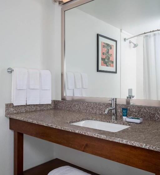Standard Værelse, Four Points By Sheraton Buffalo Grove
