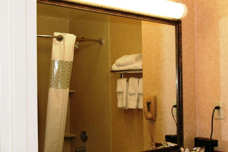 Cameră Standard Pat King Size, Holiday Inn Houston Hobby Airport, An Ihg