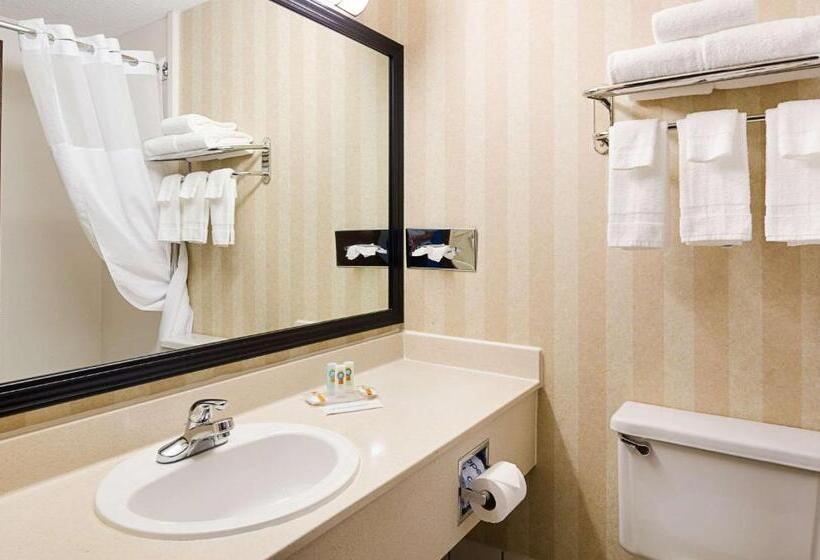 Стандартный Номер Кровать Кинг, Quality Inn