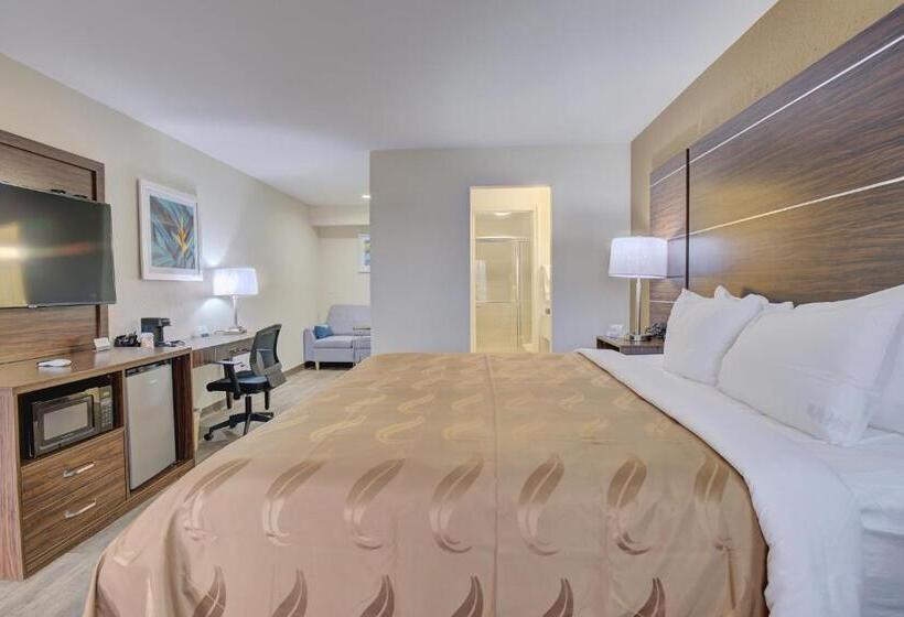 Люкс Deluxe Кровать Кинг, Quality Inn & Suites