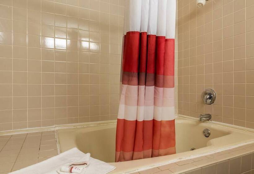 Номер Deluxe, Red Roof Inn Hardeeville