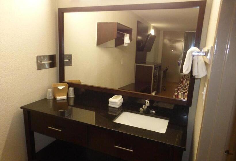 스탠다드 룸 킹사이즈 침대, Red Roof Inn Corpus Christi North  Near Downtown