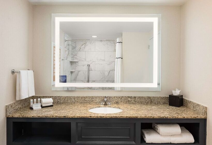 סוויטה מותאמת לאדם עם מוגבלויות, Embassy Suites By Hilton Atlanta Buckhead