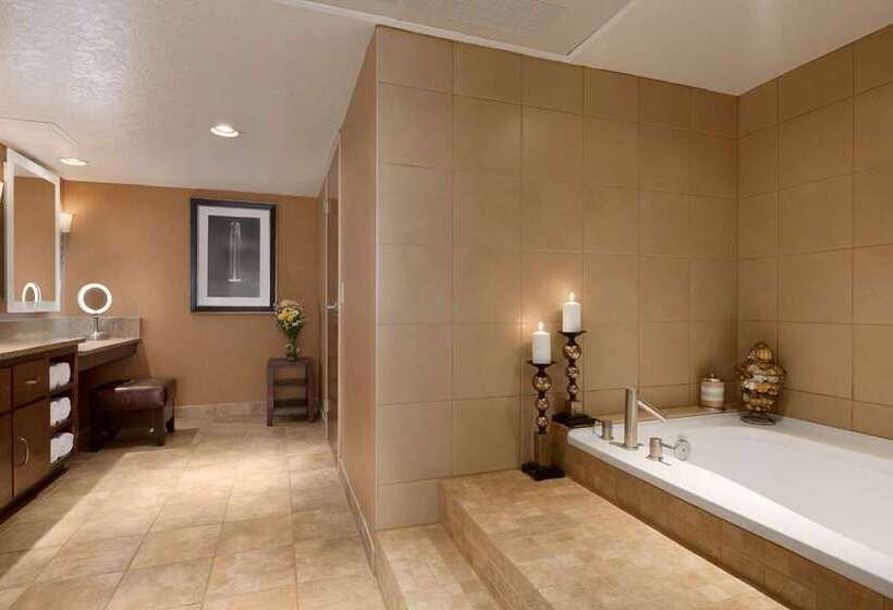 חדר סטנדרט עם מיטת קינג, Embassy Suites By Hilton Atlanta Buckhead