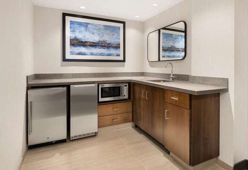 חדר סטנדרט עם מיטת קינג, Embassy Suites By Hilton Atlanta Buckhead
