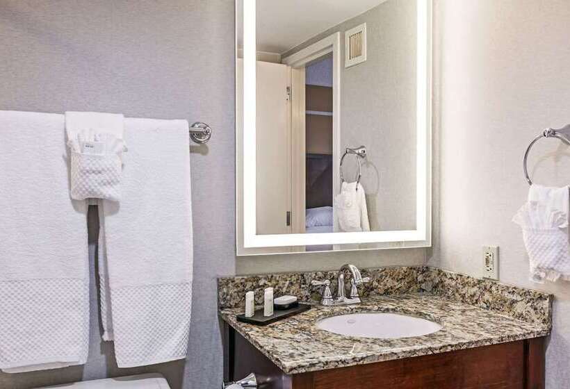 スイート, Embassy Suites By Hilton Dallas Market Center