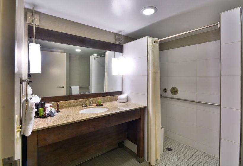 סוויטה מותאמת לאדם עם מוגבלויות, Embassy Suites By Hilton Denver Central Park