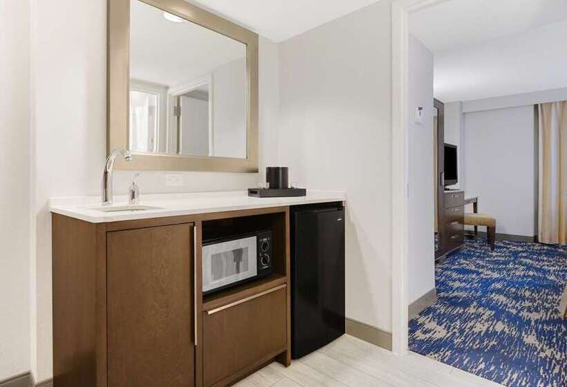 Suite met Kingsize Bed, Embassy Suites By Hilton San Antonio Airport