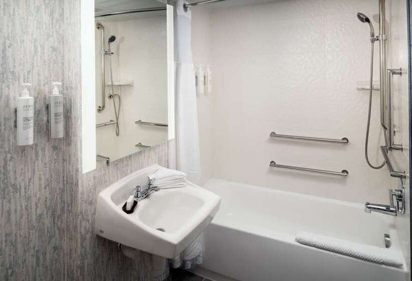 StandaardKamer, Embassy Suites By Hilton San Antonio Airport