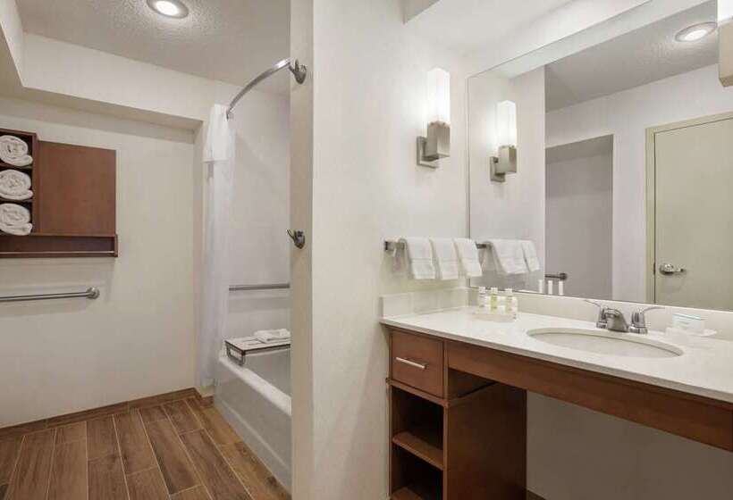 StandaardKamer, Embassy Suites By Hilton San Antonio Airport