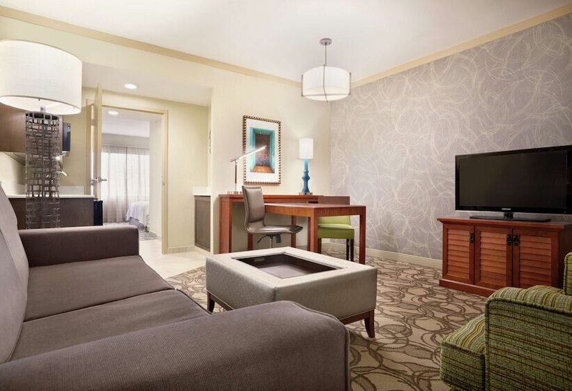 Suite Aangepast voor Gehandicapten, Embassy Suites By Hilton San Antonio Airport