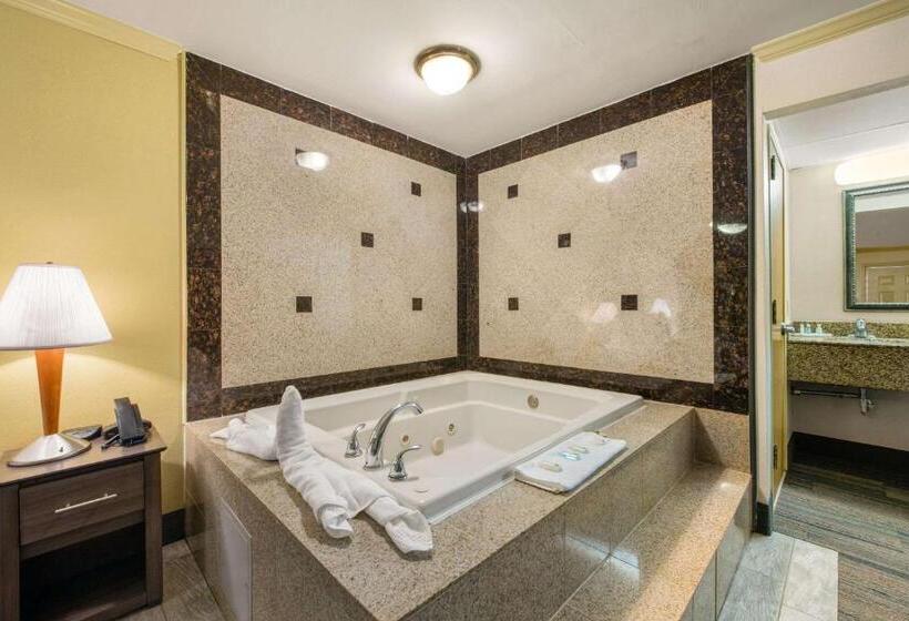 Номер Deluxe, Hibiscus Inn & Suites