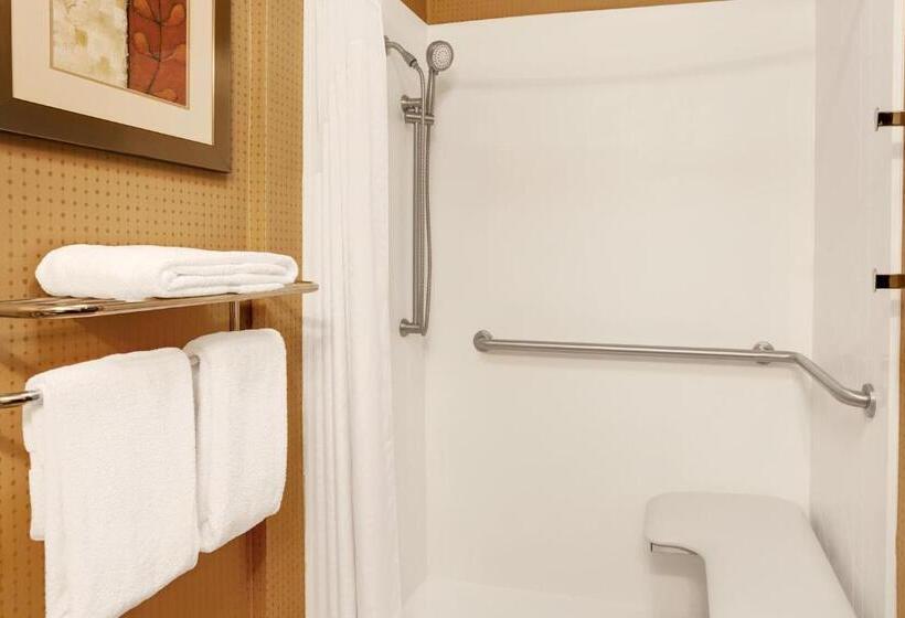 Номер Стандарт Адаптированный для Инвалидов, Wyndham Garden Duluth