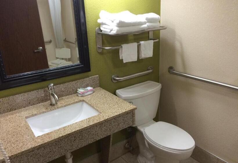 Номер Стандарт Адаптированный для Инвалидов, Best Western Adena Inn