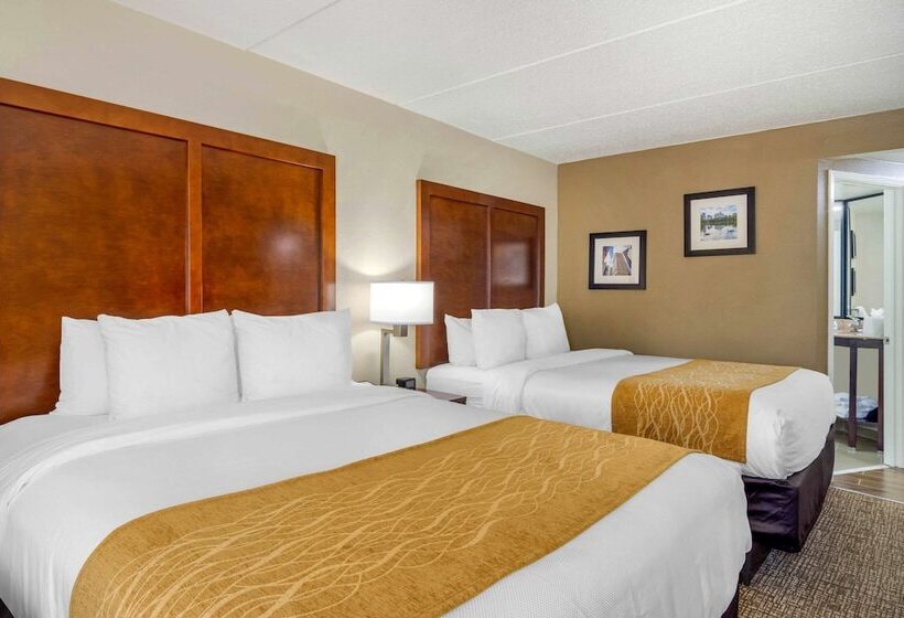 ２ダブルベッドのスタンダードルーム, Comfort Inn Atlanta Airport