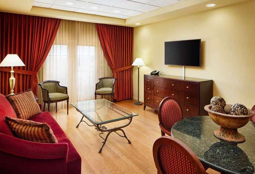 스위트 킹사이즈 침대, Embassy Suites By Hilton Detroit Metro Airport