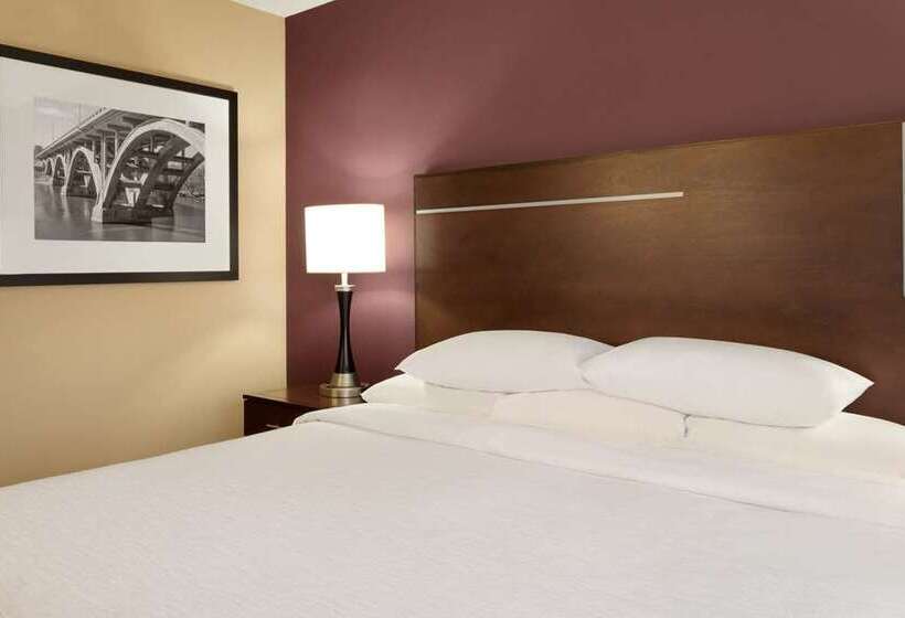 스위트 킹사이즈 침대, Embassy Suites By Hilton Detroit Metro Airport