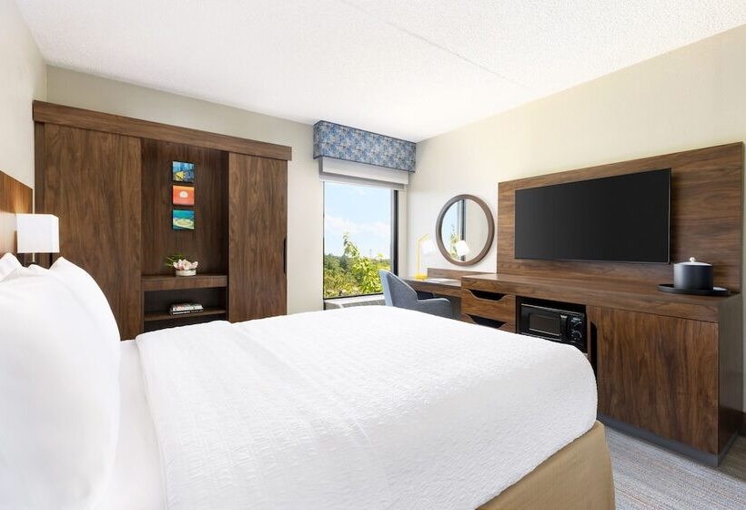 Номер Стандарт, Hampton Inn Long Island/islandia
