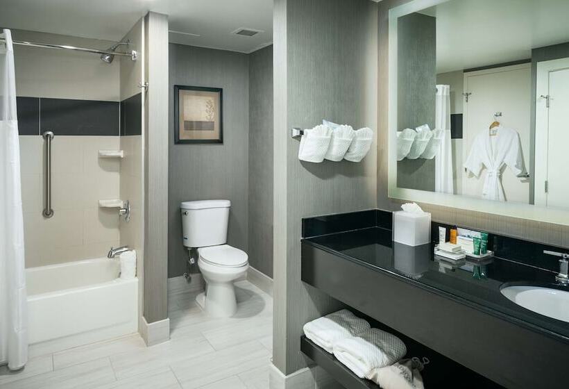 스위트, Hilton Brentwood/nashville Suites