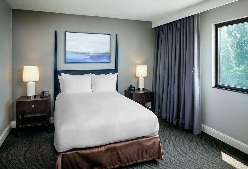 장애인을 위한 더블 침대 스탠다드 룸, Hilton Brentwood/nashville Suites